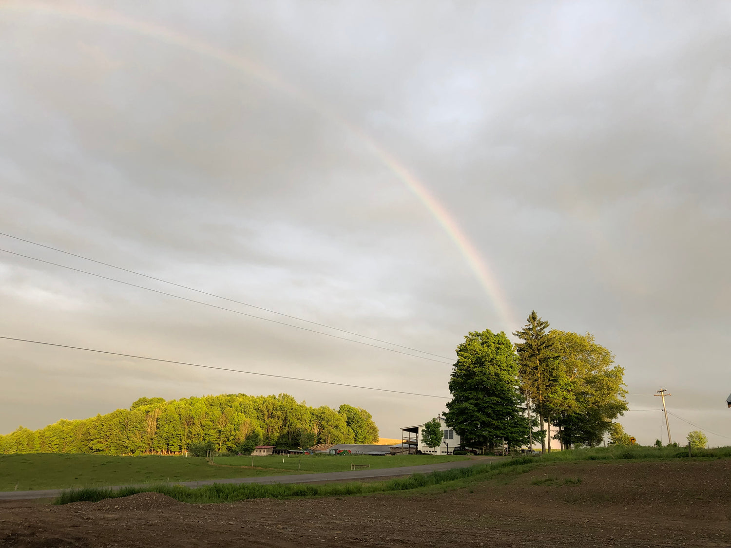 Rainbow over the homestead